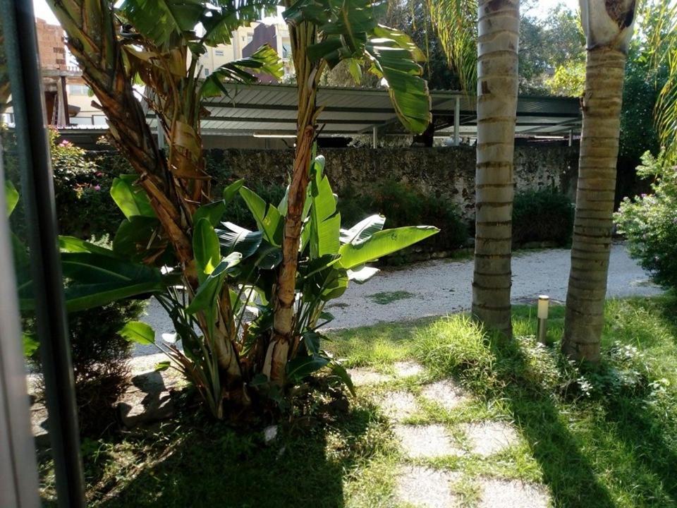 La Palma Hotel 3*